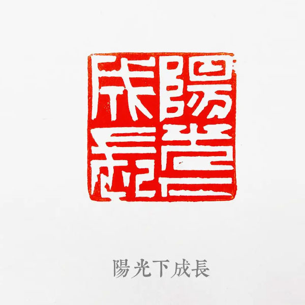 项敬明|阳光下成长